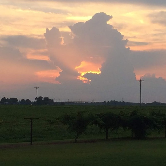 Meet your Posher, Becky - Picture 1 of 1